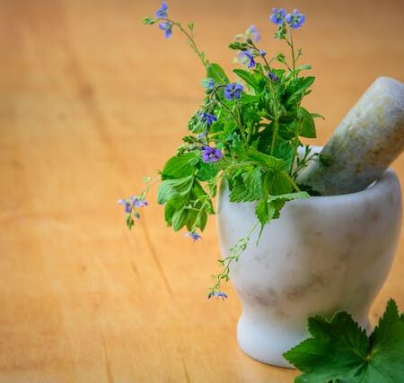 Herbal Haven: Growing and Using Your Own Culinary Herbs