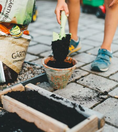Eco-Friendly Gardening: Starting Your Sustainable Garden